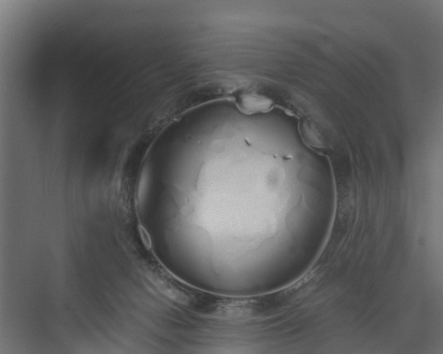 X0000073840078200608171018