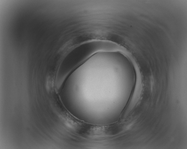 X0000073840084200608171018