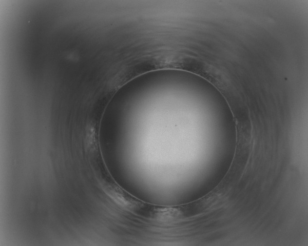 X0000073840087200608171018