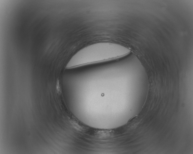 X0000073840089200608171018