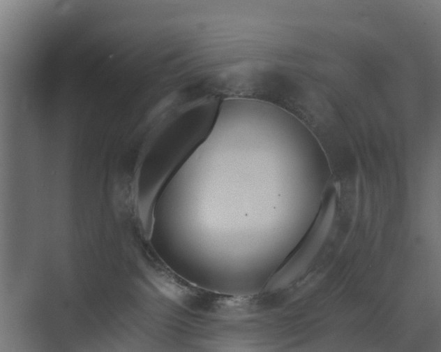 X0000073840092200608171018