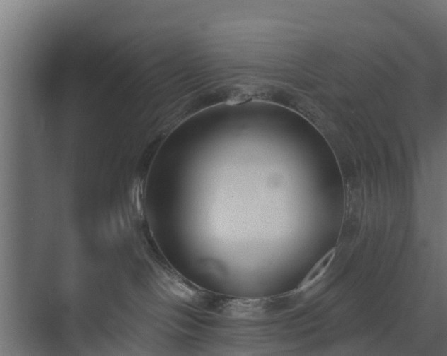 X0000073840094200608171018