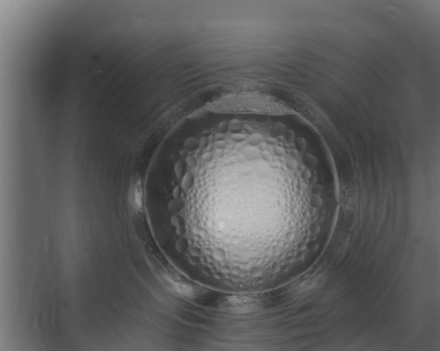 X0000073840095200608171018