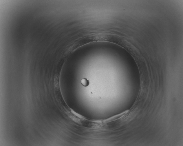 X0000073840096200608171018