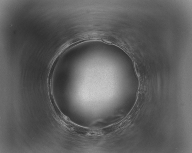 X0000073840099200608171017