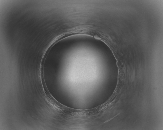 X0000073840100200608171017