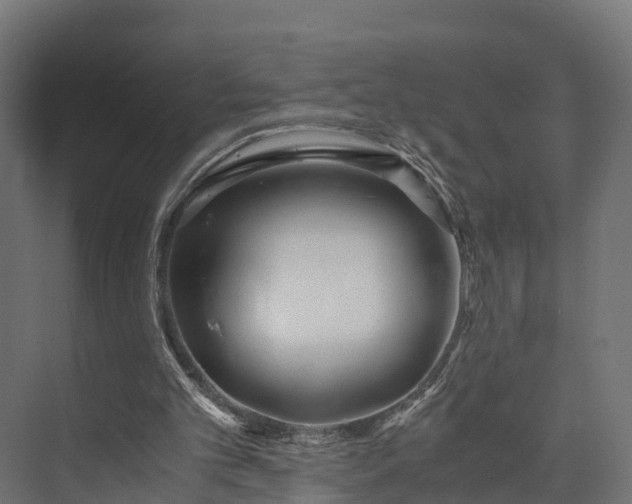 X0000073840101200608171017