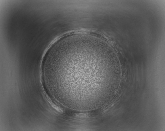 X0000073840102200608171017