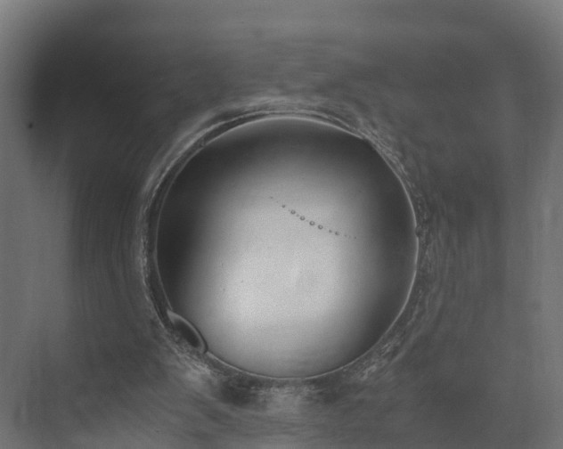 X0000073840103200608171017