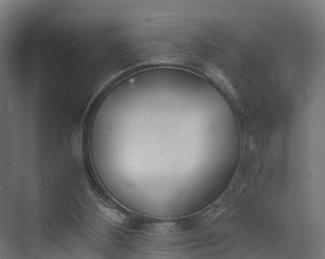 X0000073840108200608171017