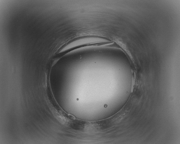 X0000073840109200608171017