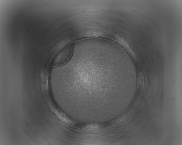 X0000073840110200608171017