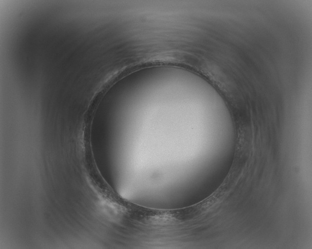 X0000073840112200608171017