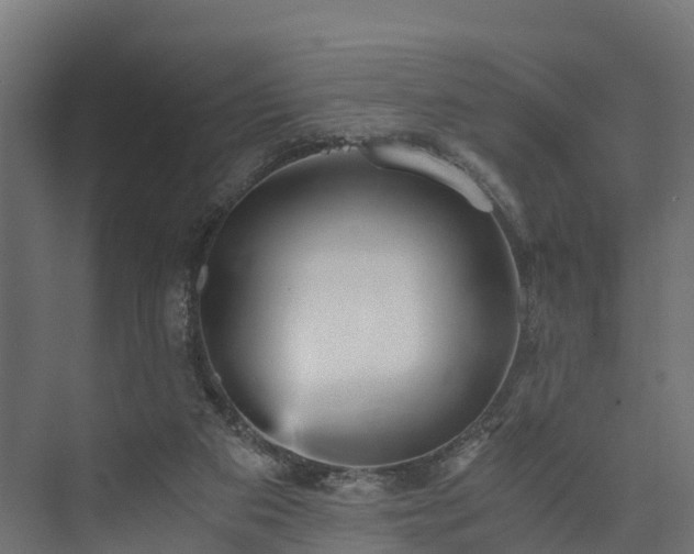 X0000073840113200608171017