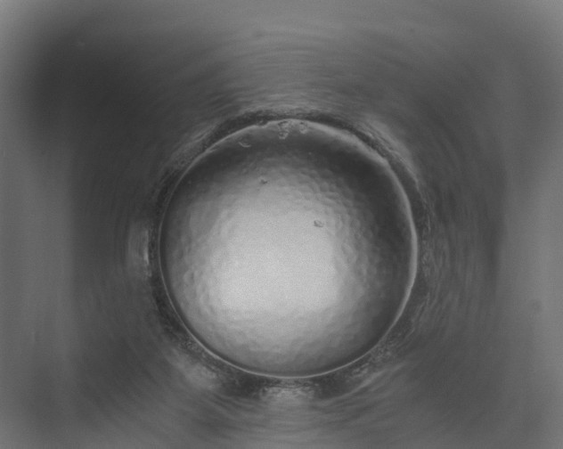 X0000073840115200608171017