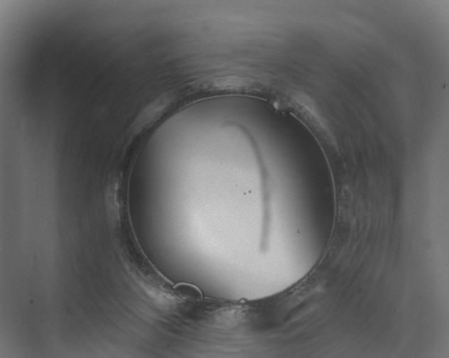 X0000073840116200608171017