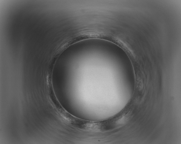 X0000073840117200608171017