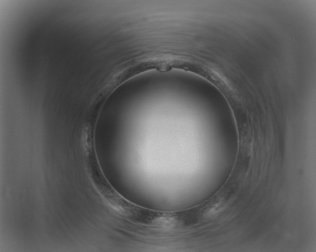 X0000073840119200608171017