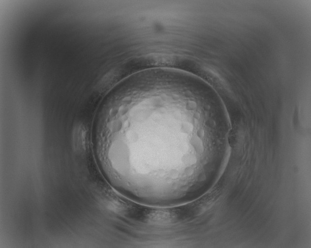 X0000073840123200608171017