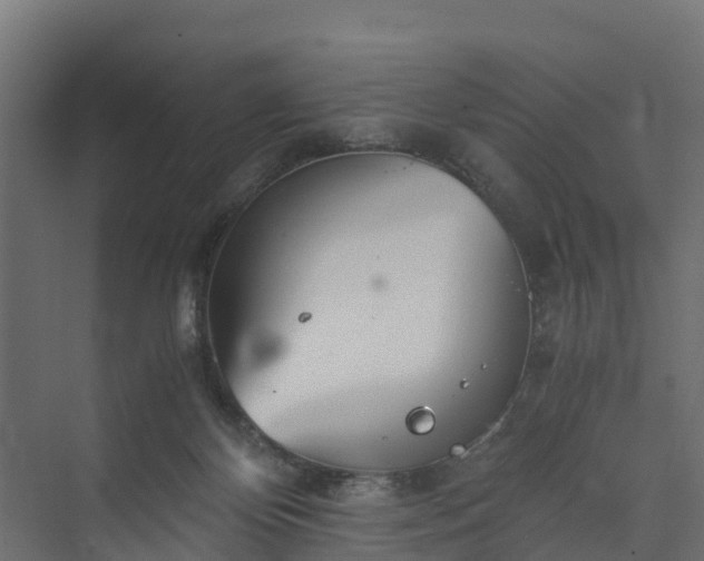 X0000073840124200608171017