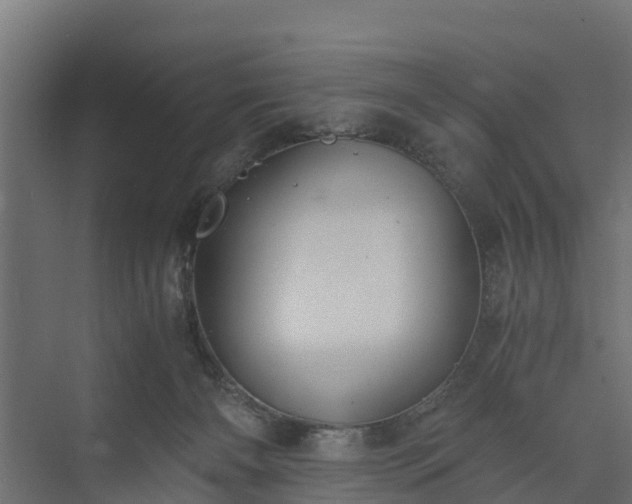 X0000073840126200608171017