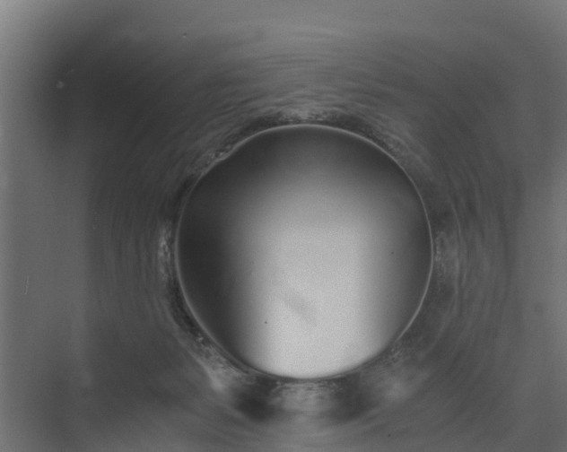 X0000073840127200608171017