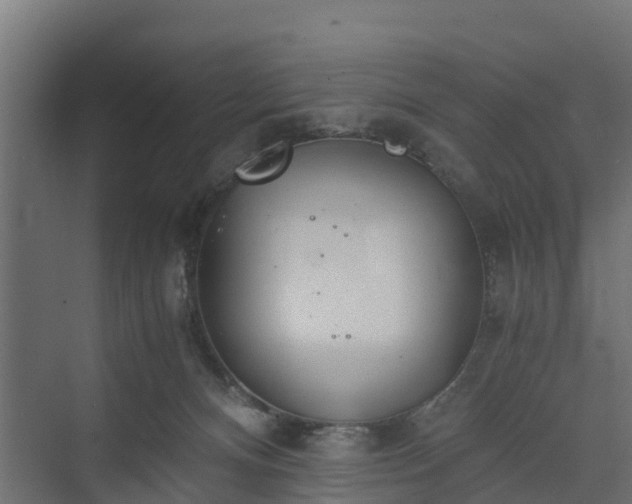 X0000073840128200608171017