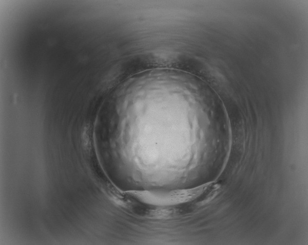 X0000073840131200608171017