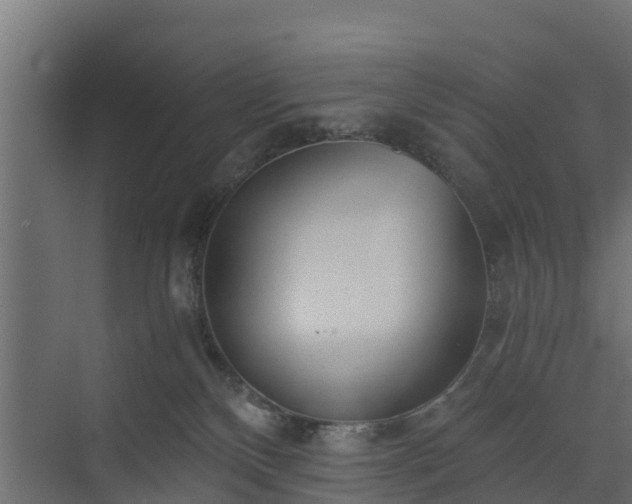 X0000073840136200608171016