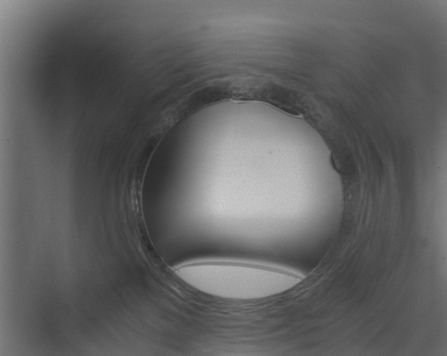 X0000073840137200608171016