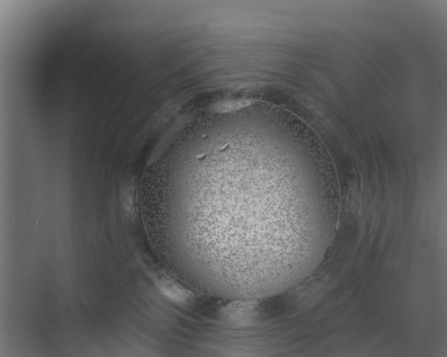 X0000073840138200608171016