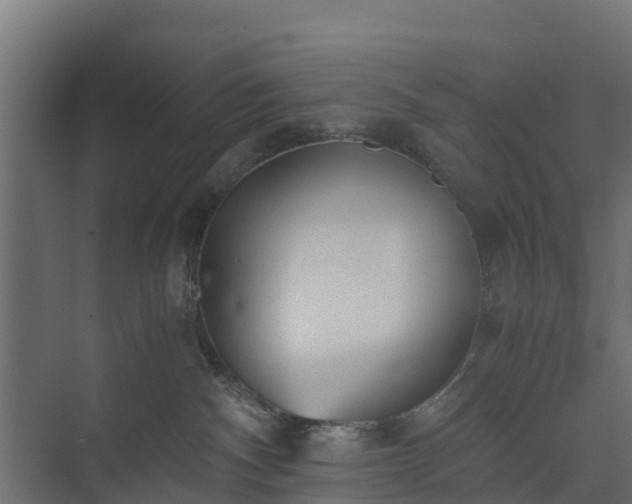 X0000073840140200608171016