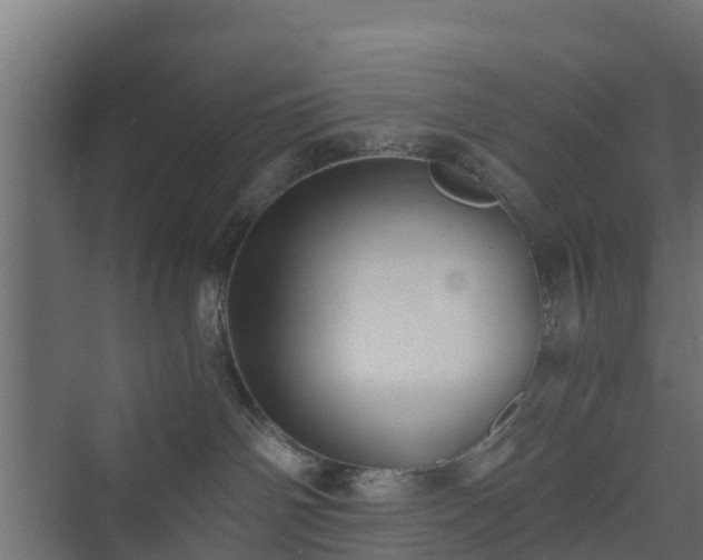 X0000073840142200608171016