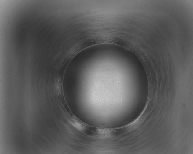 X0000073840144200608171016