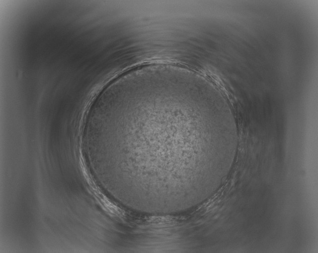 X0000073840145200608171016