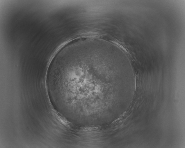 X0000073840147200608171016