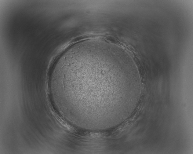 X0000073840149200608171016