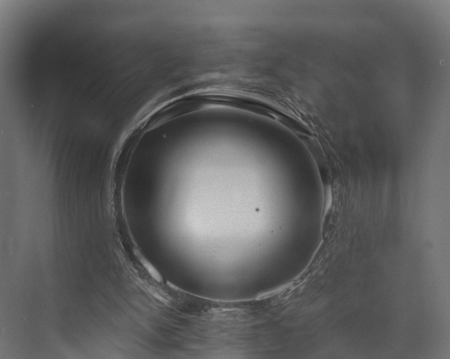 X0000073840150200608171016