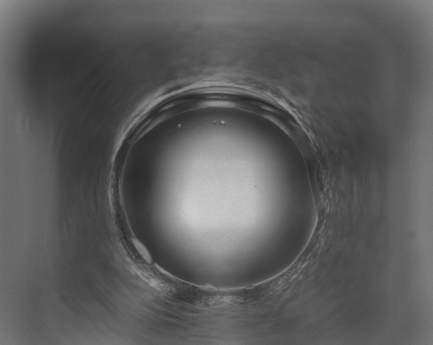 X0000073840152200608171016