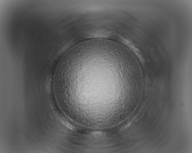 X0000073840153200608171016