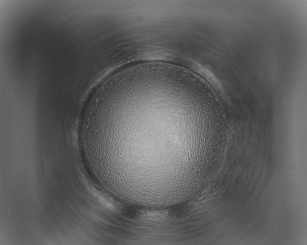 X0000073840155200608171016