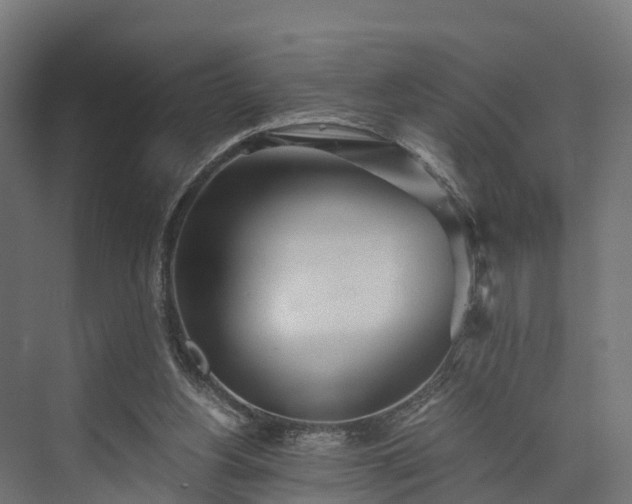 X0000073840156200608171016