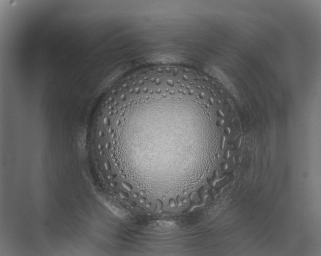 X0000073840159200608171016