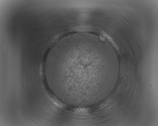 X0000073840161200608171016