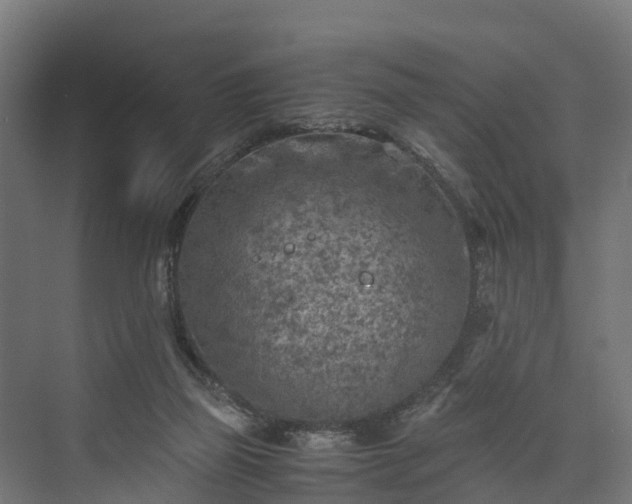 X0000073840165200608171016