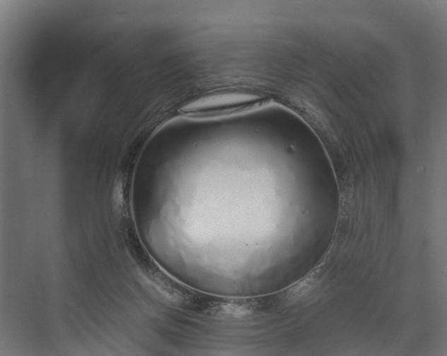 X0000073840166200608171016