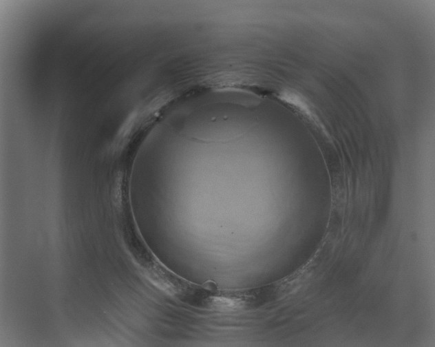 X0000073840167200608171016