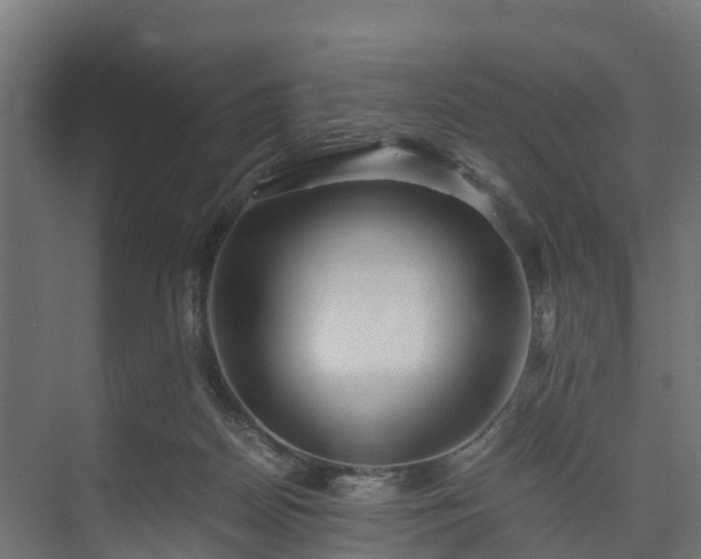 X0000073840170200608171016