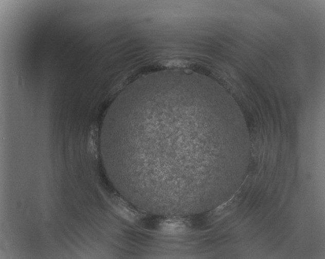 X0000073840175200608171016