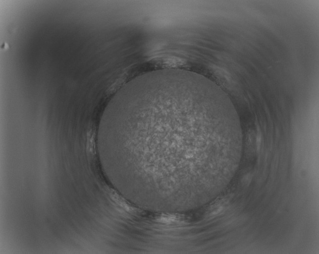 X0000073840177200608171016